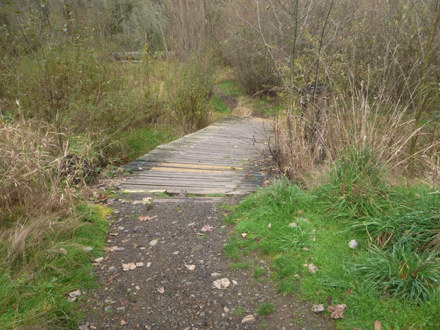 Soft surface trail to broken board walk next to Salmon Creek Greenway Trail – not part of the trail